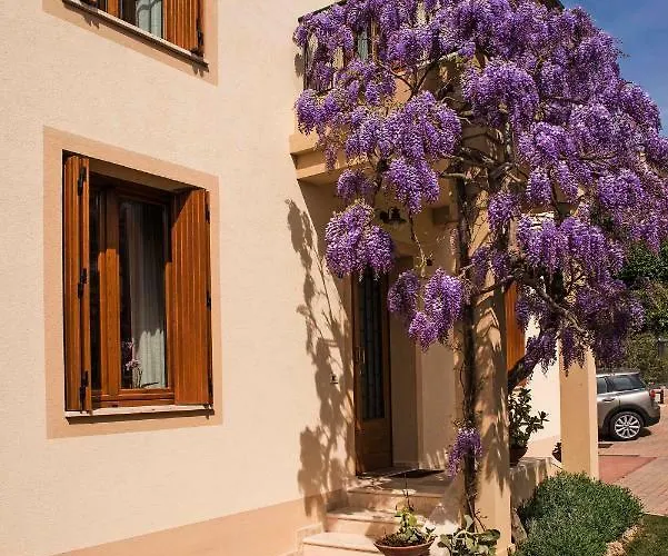 Casa Il Glicine A Due Passi Dal Centro *